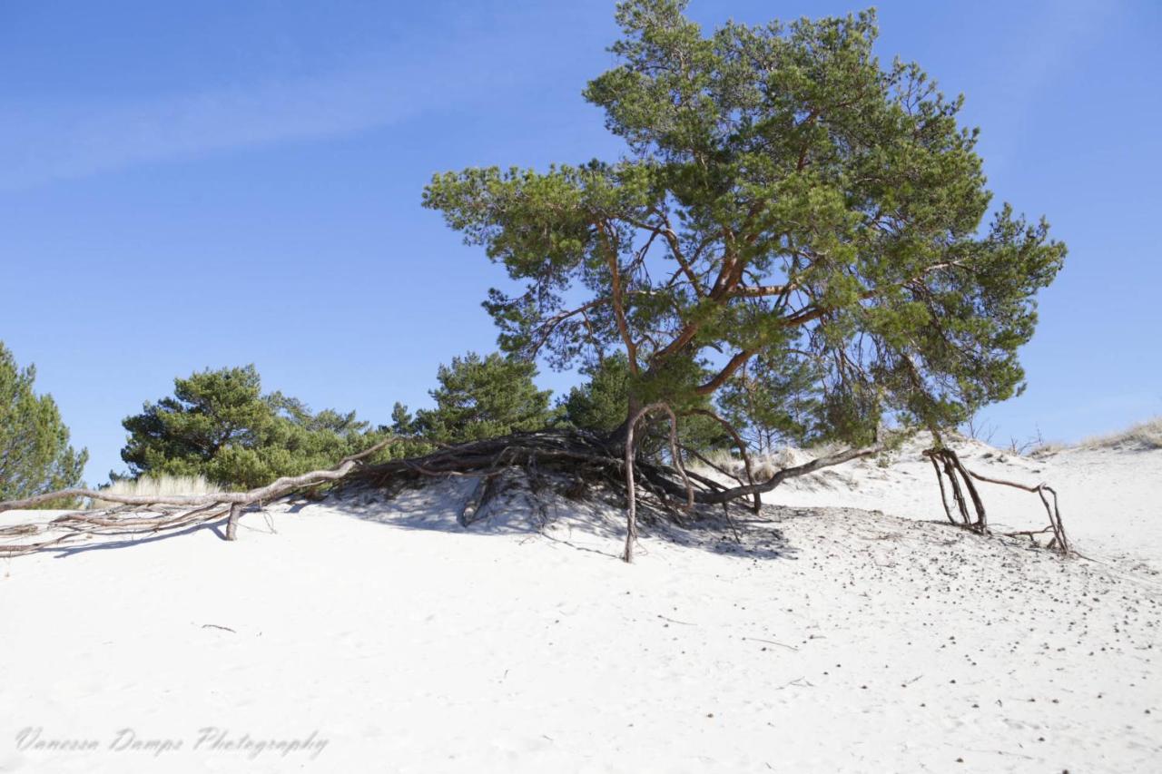 Willa Dzika Plaża Stilo Sasino Zewnętrze zdjęcie